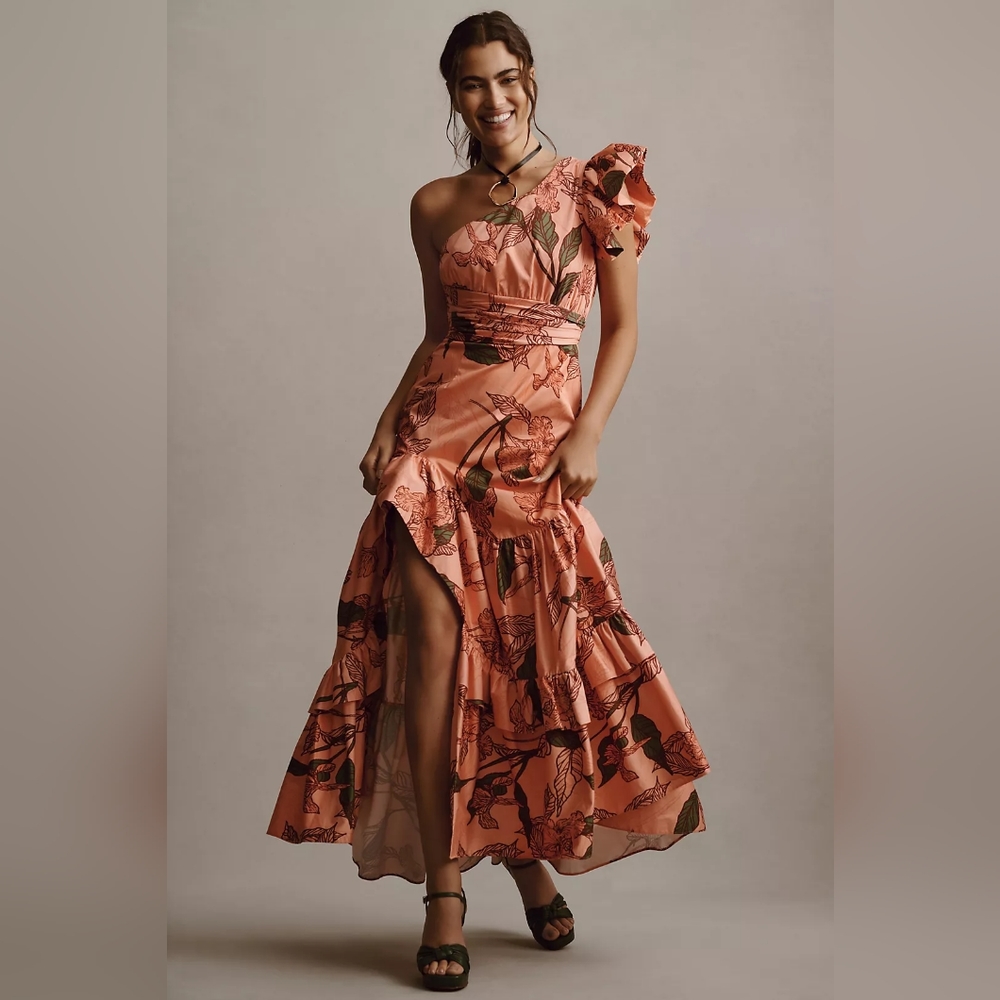 Hutch One-Shoulder Ruffle Maxi Dress - Picture 4 of 6